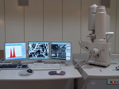  Scanning electron microscopy